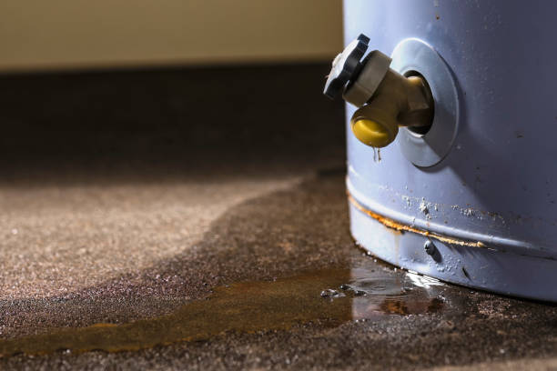Best Commercial water damage restoration  in Westke, LA