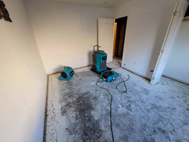 Best Carpet water damage restoration  in Westke, LA