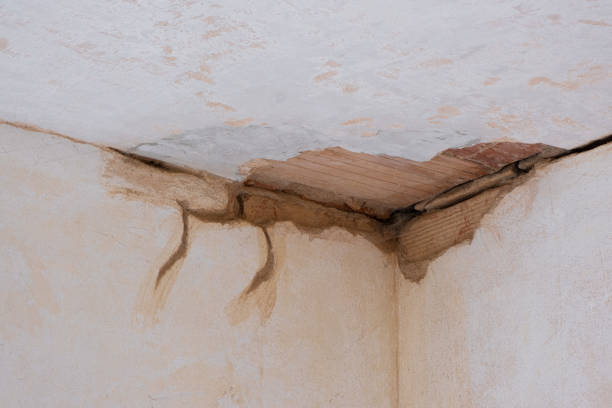 Best Mold removal after water damage  in Westke, LA