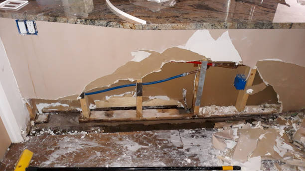 Best Flood damage cleanup  in Westke, LA