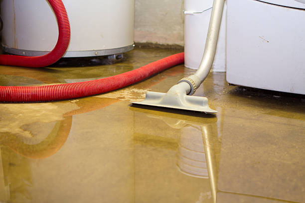 Best Flood restoration services  in Westke, LA