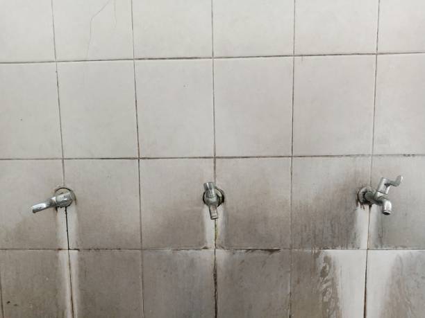 Best Ceiling water damage repair  in Westke, LA
