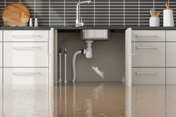 Best Residential water damage restoration  in Westke, LA