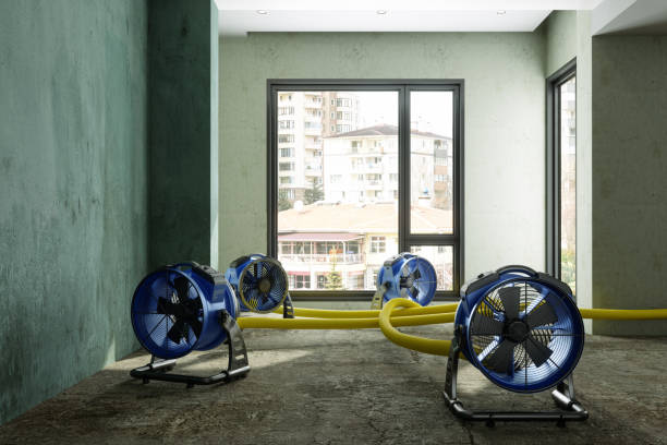 Best Mold removal after water damage  in Westke, LA